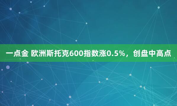 一点金 欧洲斯托克600指数涨0.5%，创盘中高点