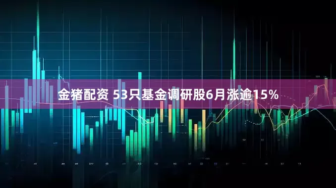 金猪配资 53只基金调研股6月涨逾15%