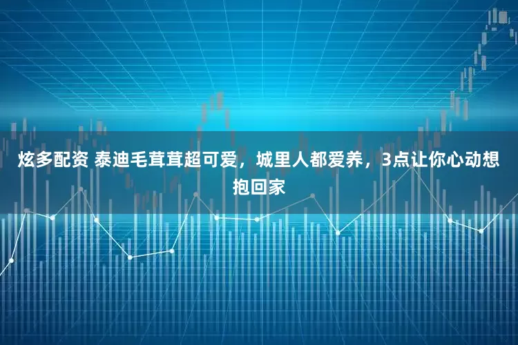 炫多配资 泰迪毛茸茸超可爱，城里人都爱养，3点让你心动想抱回家