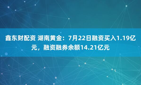 鑫东财配资 湖南黄金：7月22日融资买入1.19亿元，融资融券余额14.21亿元